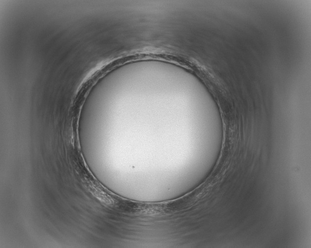 X0000080691262200701051051