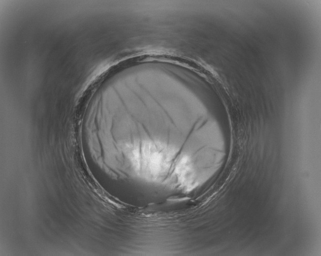 X0000080691263200701051051