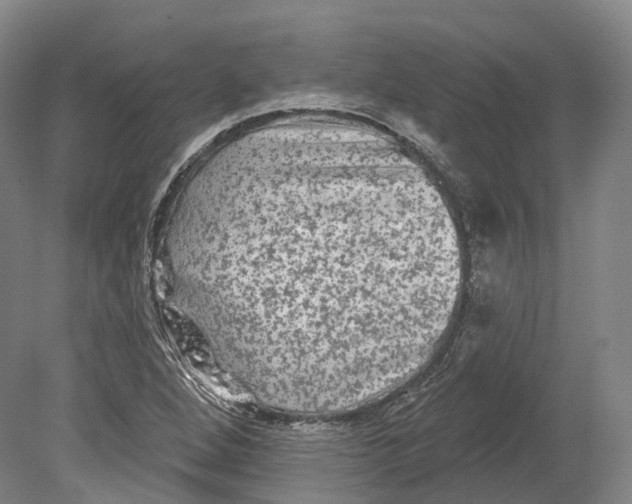 X0000080691264200701051051