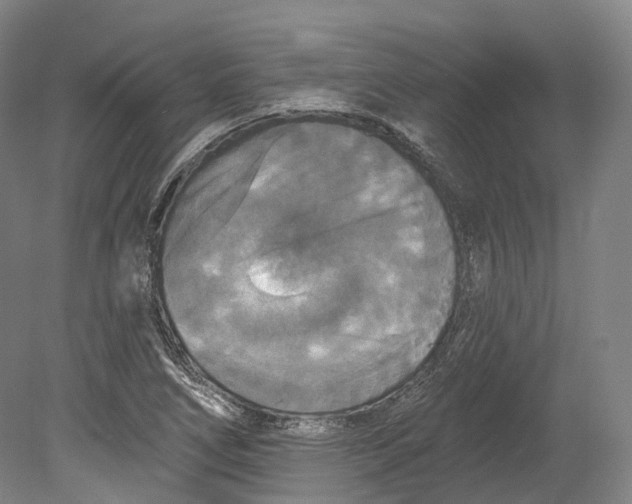 X0000080691266200701051051