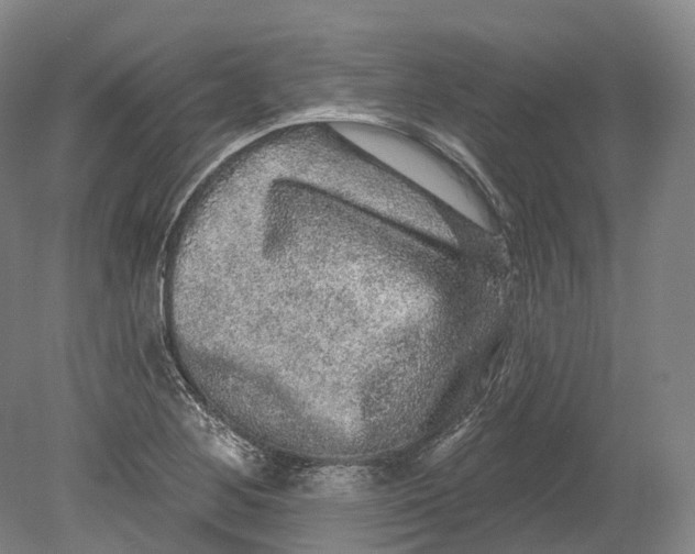 X0000080691268200701051051