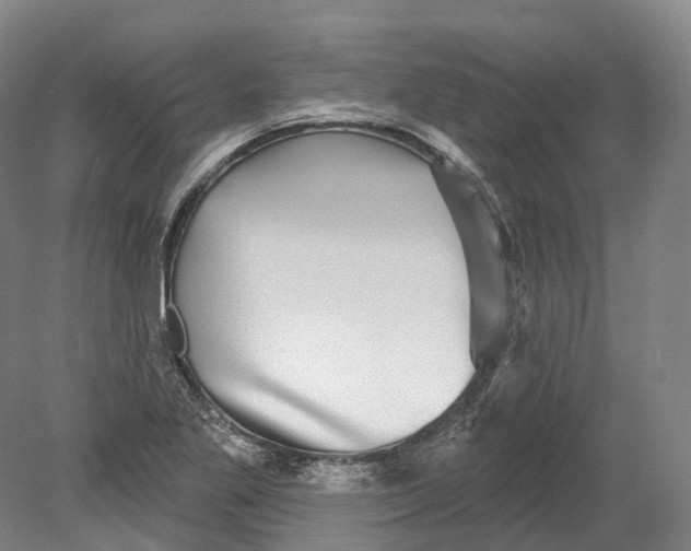 X0000080691269200701051051