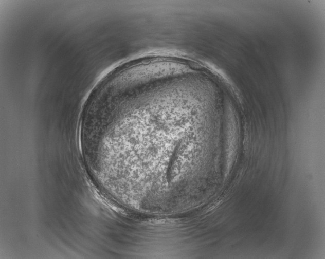 X0000080691272200701051051