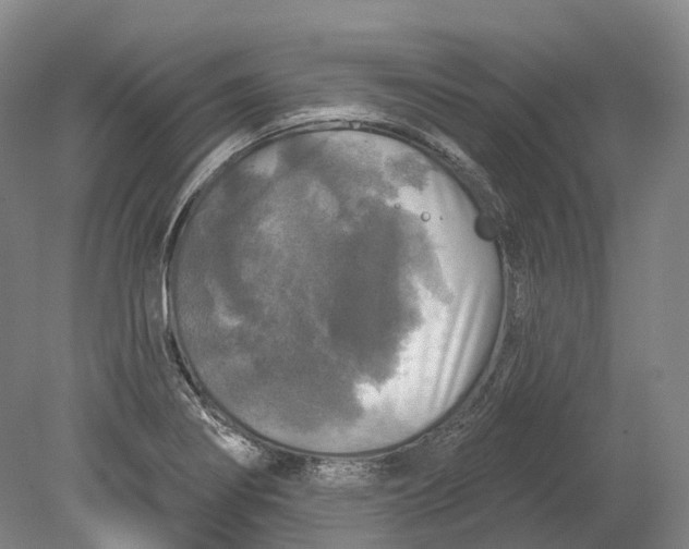 X0000080691274200701051051