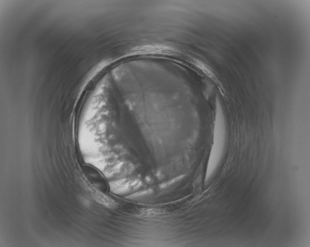 X0000080691275200701051051