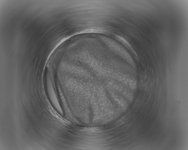 X0000080691276200701051051