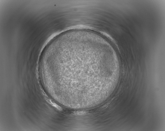 X0000080691278200701051051