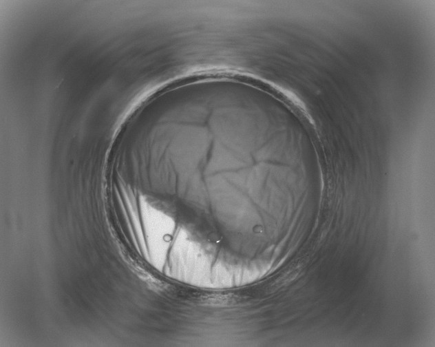 X0000080691279200701051050