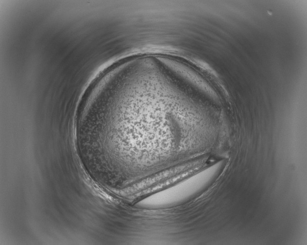 X0000080691280200701051050