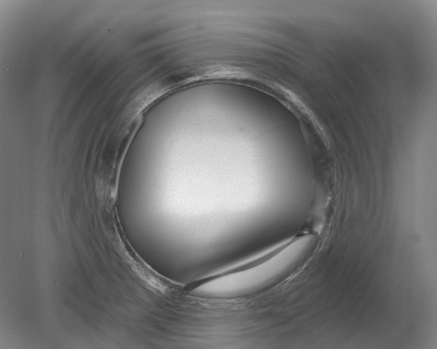 X0000080691281200701051050