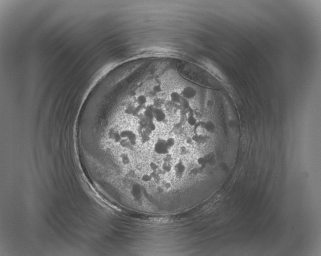 X0000080691283200701051050