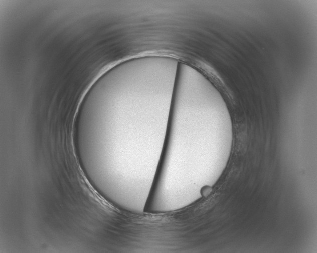 X0000080691284200701051050