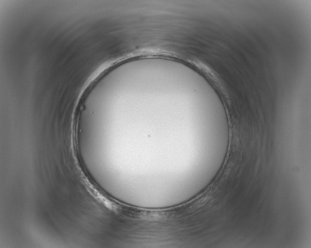 X0000080691286200701051050