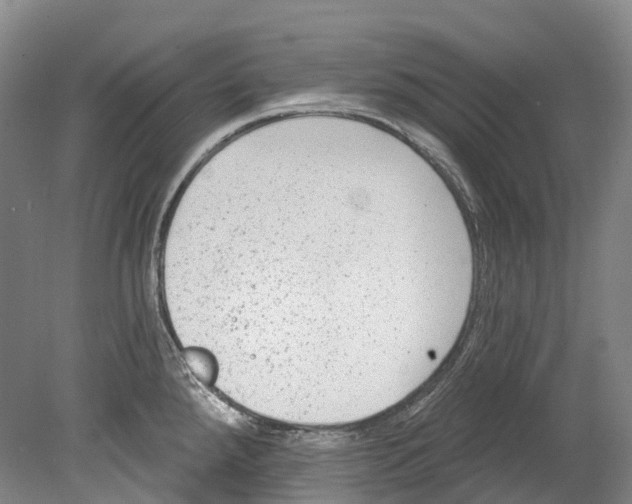 X0000080691288200701051050