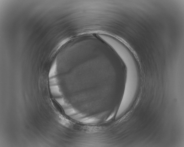 X0000080691289200701051050