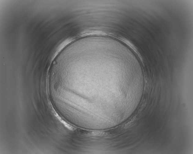 X0000080691290200701051050