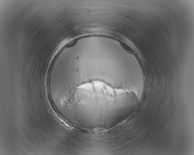 X0000080691291200701051050