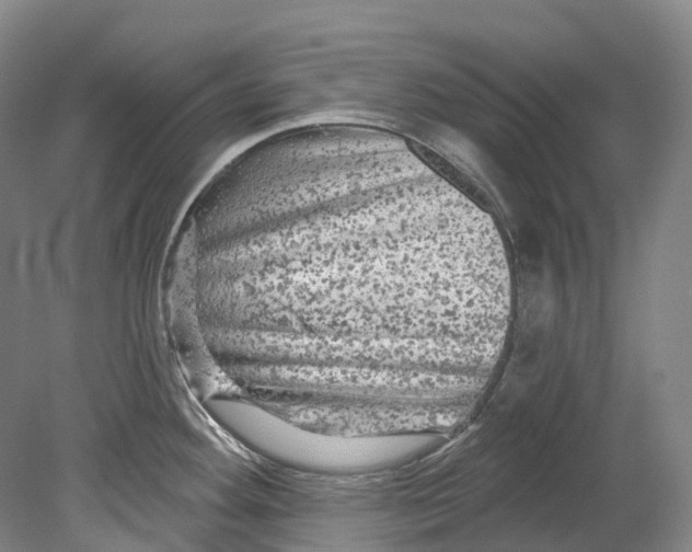 X0000080691292200701051050