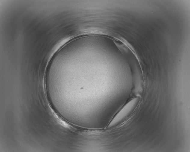 X0000080691293200701051050