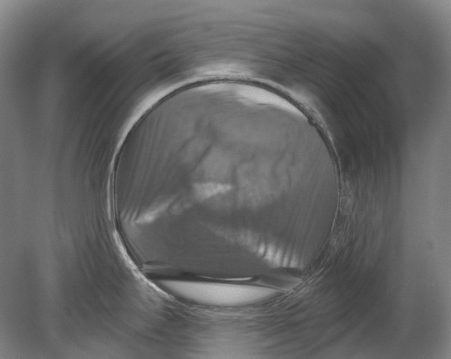 X0000080691295200701051050