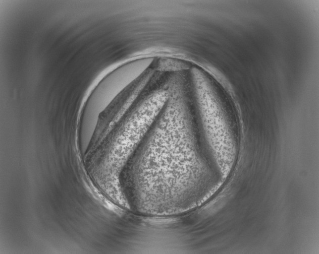 X0000080691296200701051050