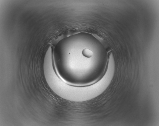 X0000080691298200701051049