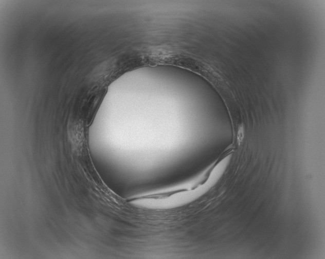 X0000080691299200701051049