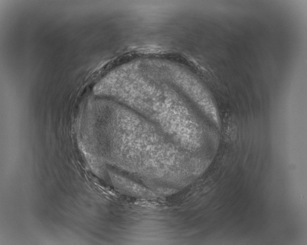 X0000080691301200701051049