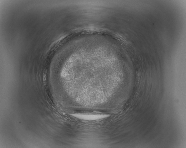 X0000080691302200701051049