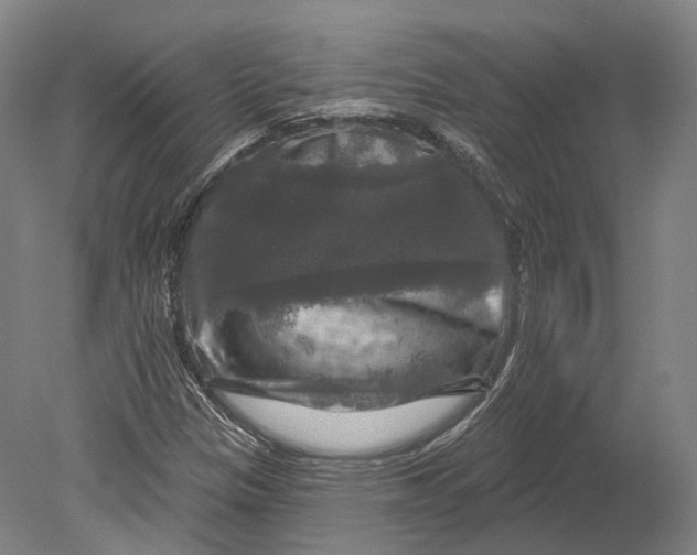 X0000080691305200701051050