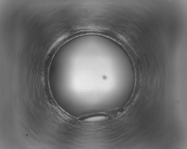 X0000080691307200701051050