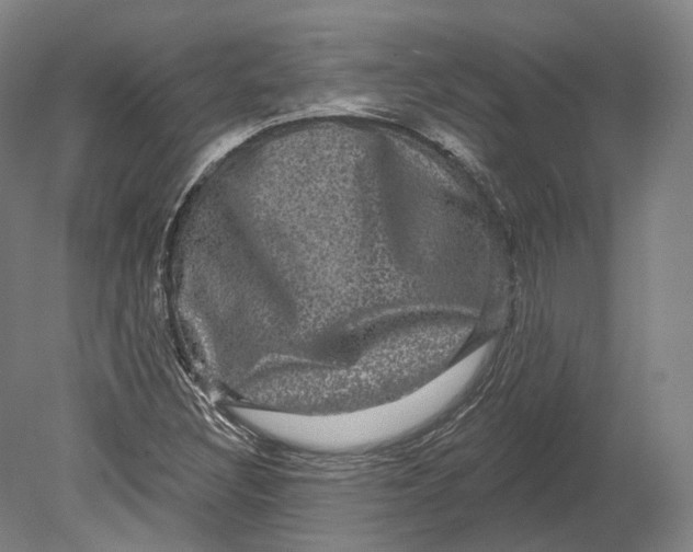 X0000080691308200701051050