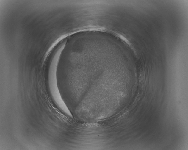 X0000080691310200701051050