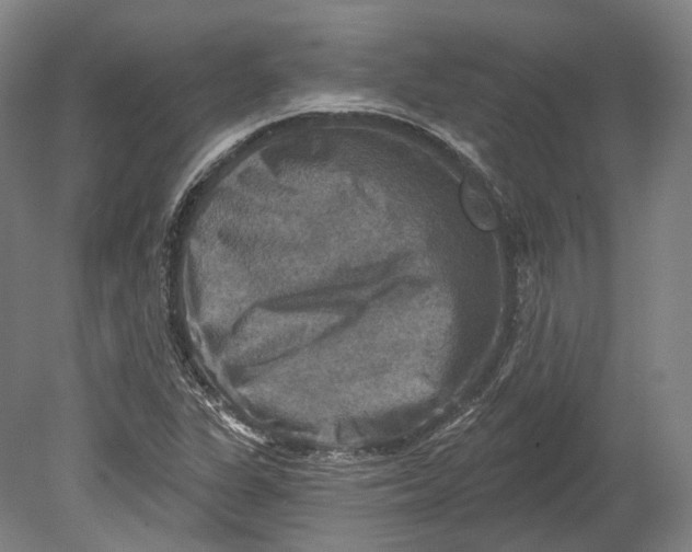 X0000080691311200701051050