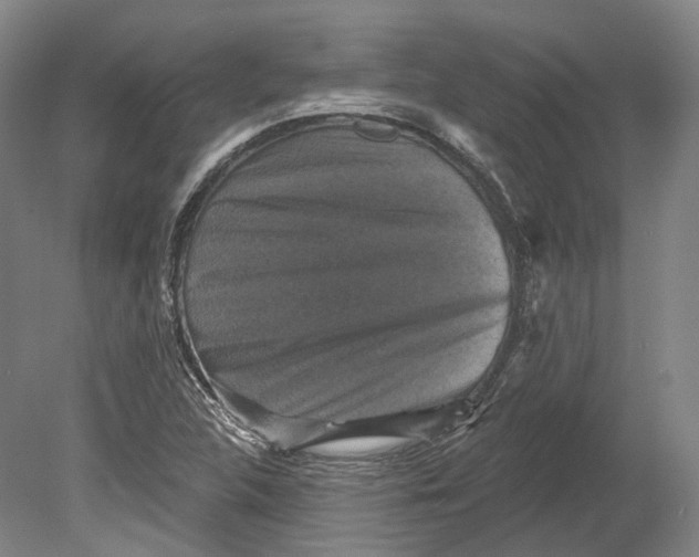 X0000080691312200701051050