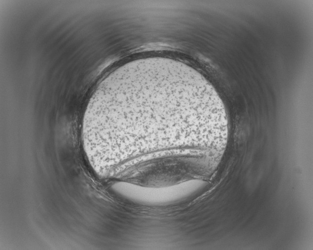 X0000080691313200701051050