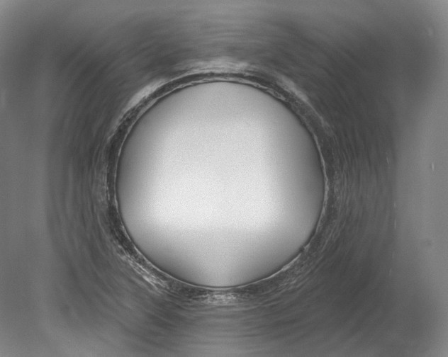 X0000080691315200701051050