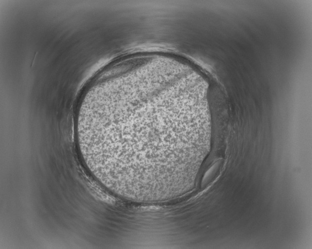 X0000080691317200701051050