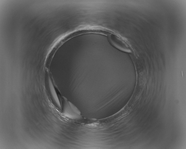 X0000080691319200701051050