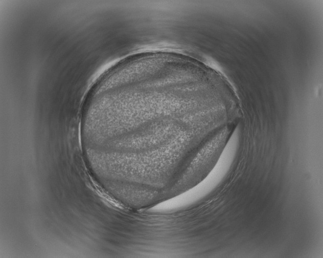 X0000080691320200701051050