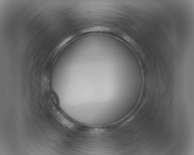 X0000080691321200701051050