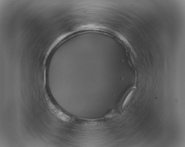 X0000080691323200701051050