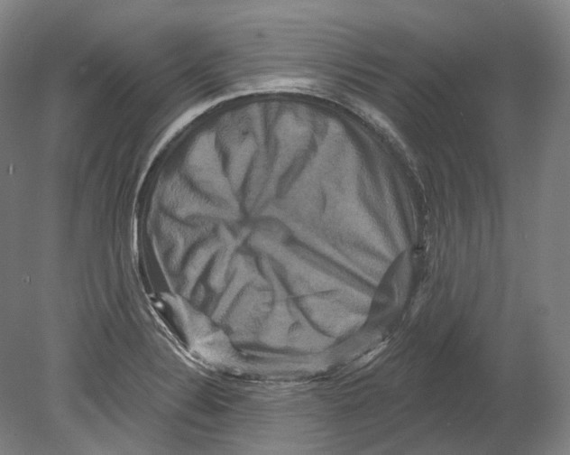 X0000080691324200701051050