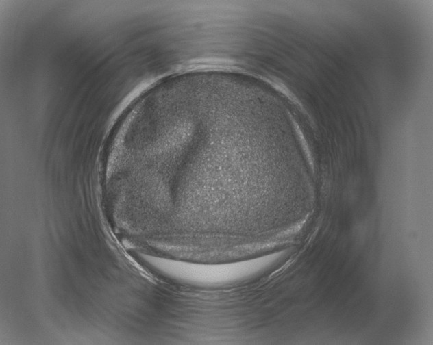 X0000080691325200701051050