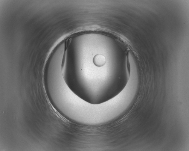 X0000080691326200701051050