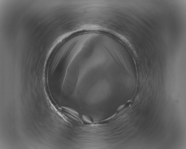 X0000080691327200701051050