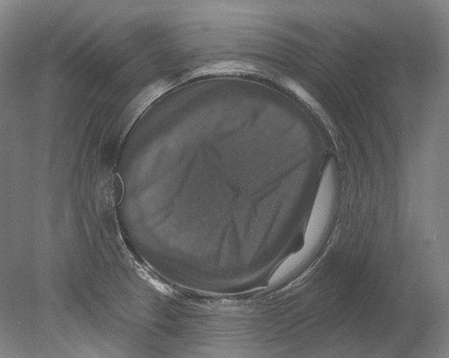 X0000080691329200701051050