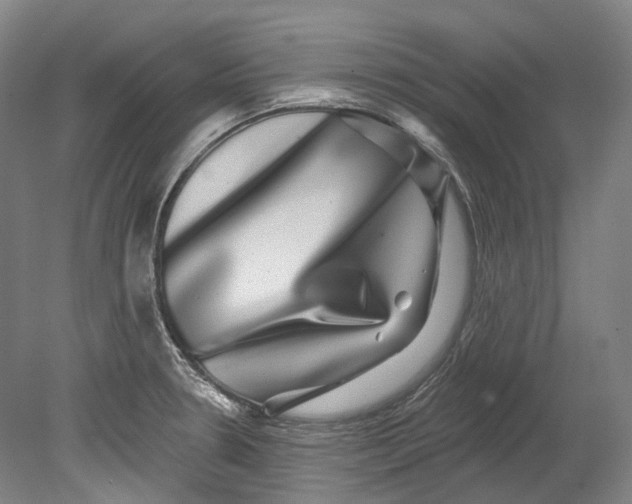 X0000080691330200701051050