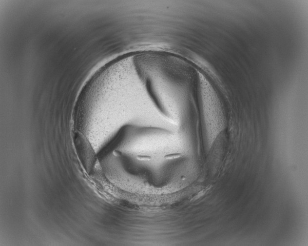 X0000080691332200701051050