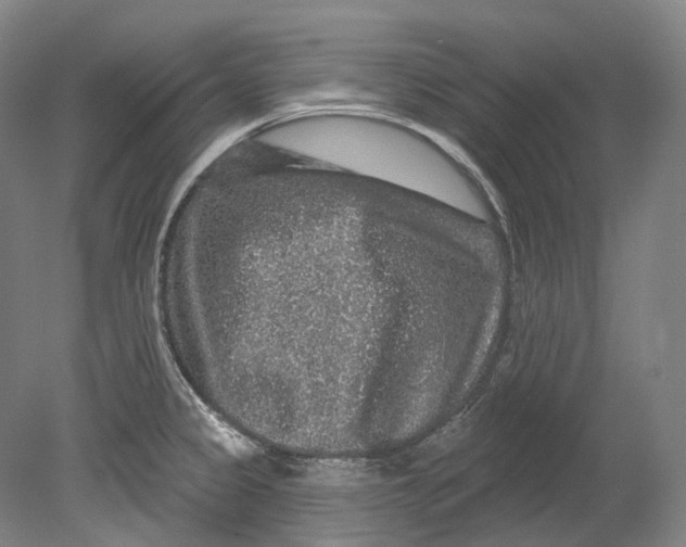 X0000080691333200701051050